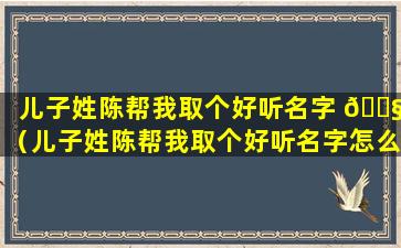 儿子姓陈帮我取个好听名字 🐧 （儿子姓陈帮我取个好听名字怎么取）